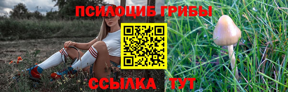 Псилоцибиновые грибы GOLDEN TEACHER Ростов Великий