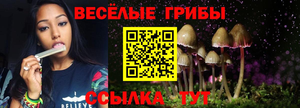 Галлюциногенные грибы GOLDEN TEACHER  Псилоцибиновые грибы мухоморы  Вход с VPN  Ростов Великий 